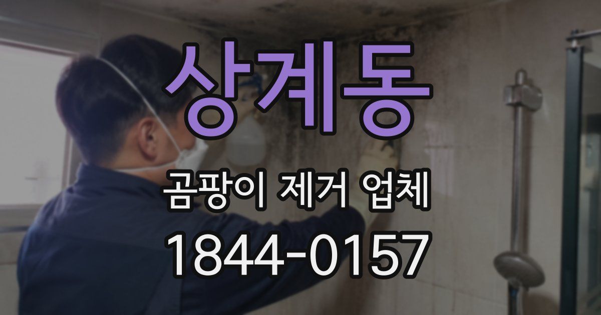 상계동 곰팡이 제거 업체