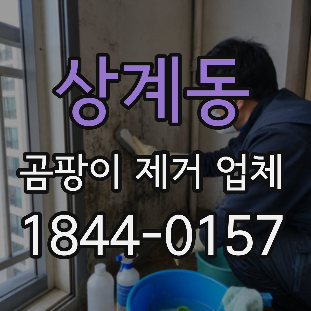 상계동 곰팡이 제거 업체