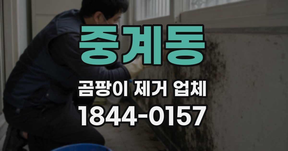 중계동 곰팡이 제거 업체