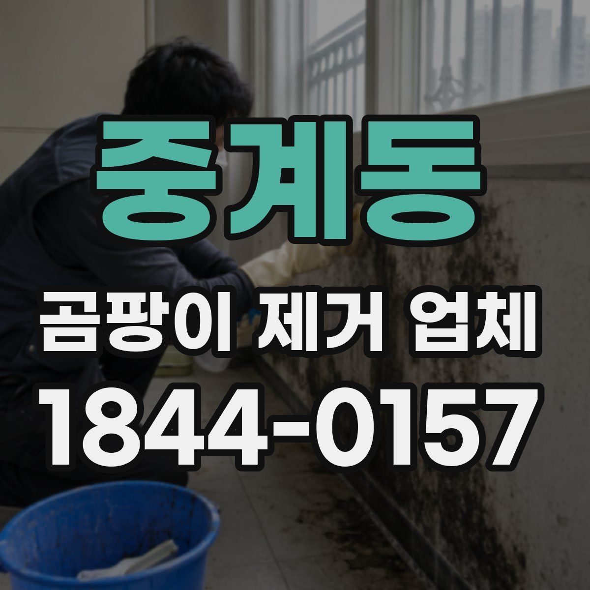 중계동 곰팡이 제거 업체