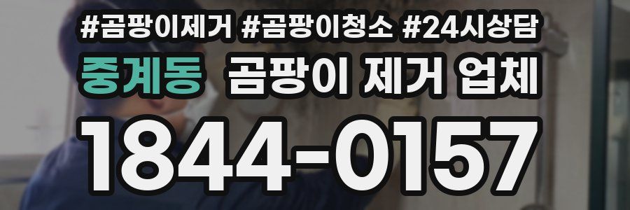 중계동 곰팡이 제거 업체