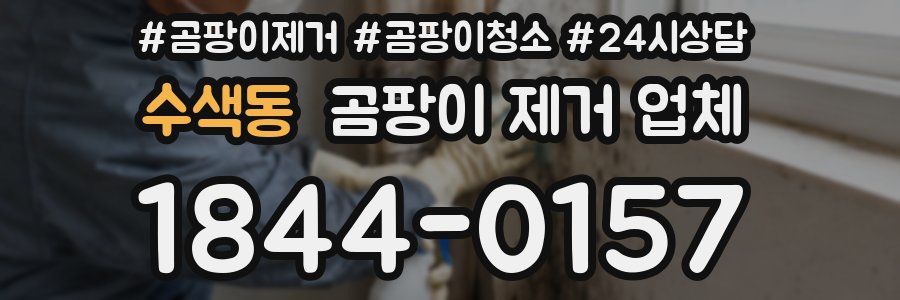 수색동 곰팡이 제거 업체