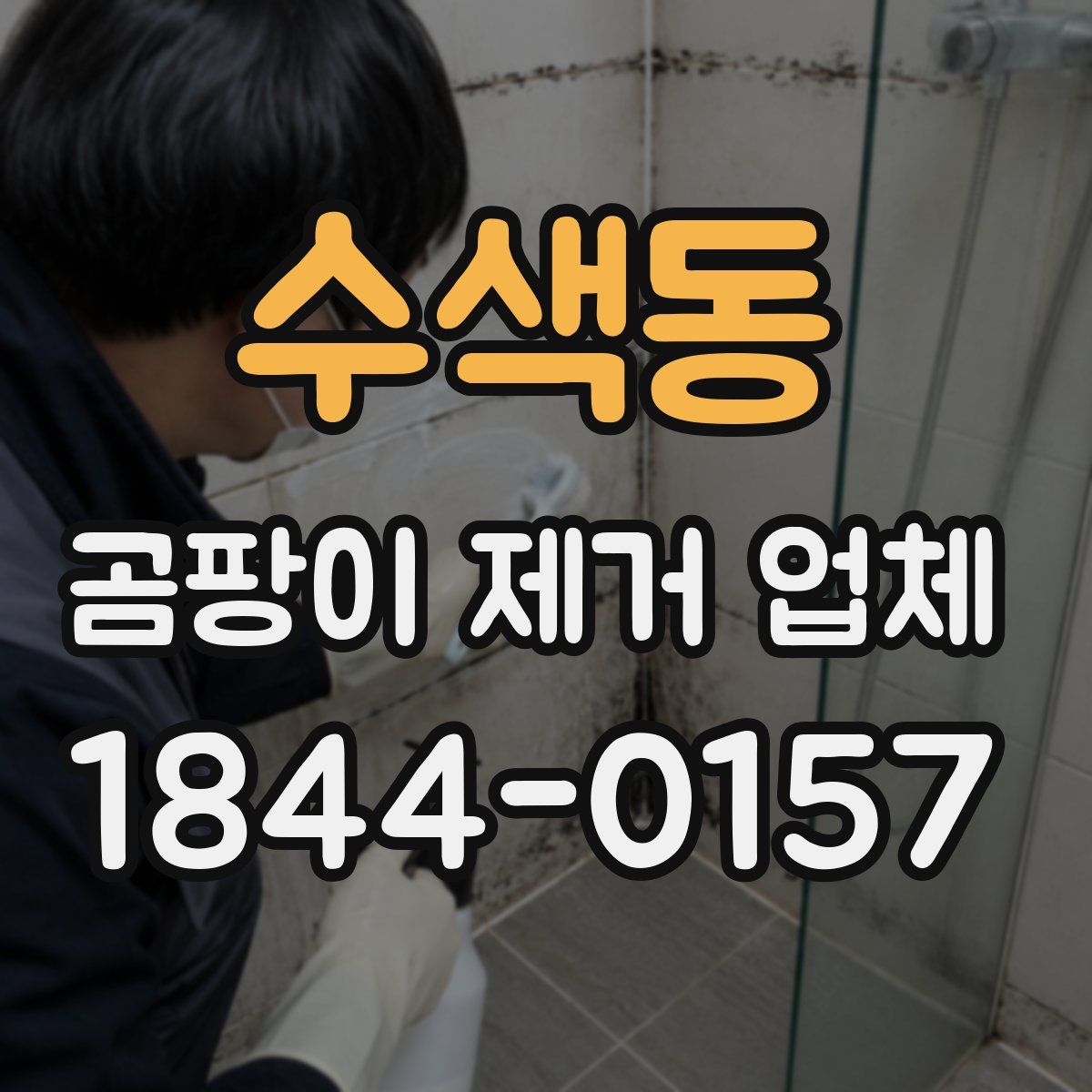 수색동 곰팡이 제거 업체