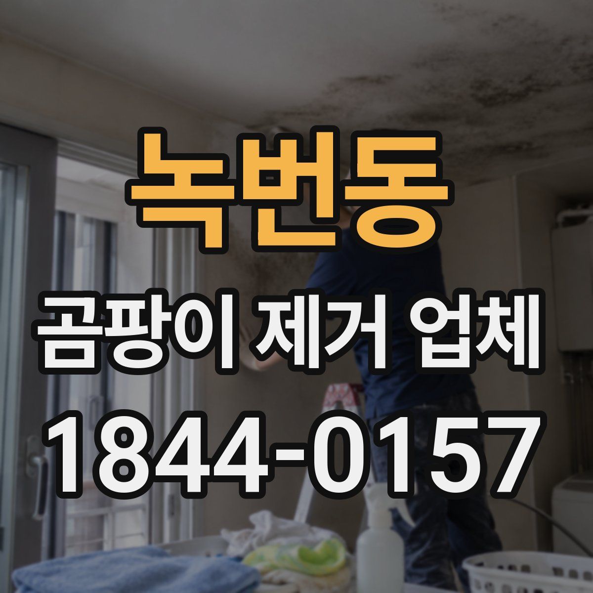 녹번동 곰팡이 제거 업체