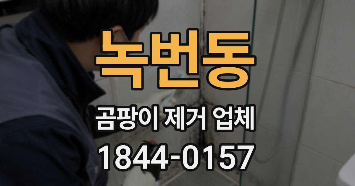 녹번동 곰팡이 제거 업체