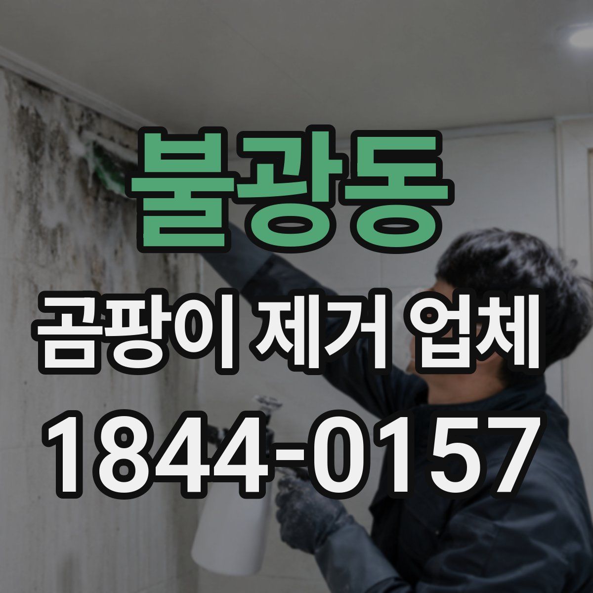 불광동 곰팡이 제거 업체