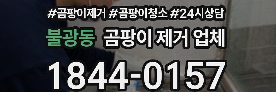 불광동 곰팡이 제거 업체