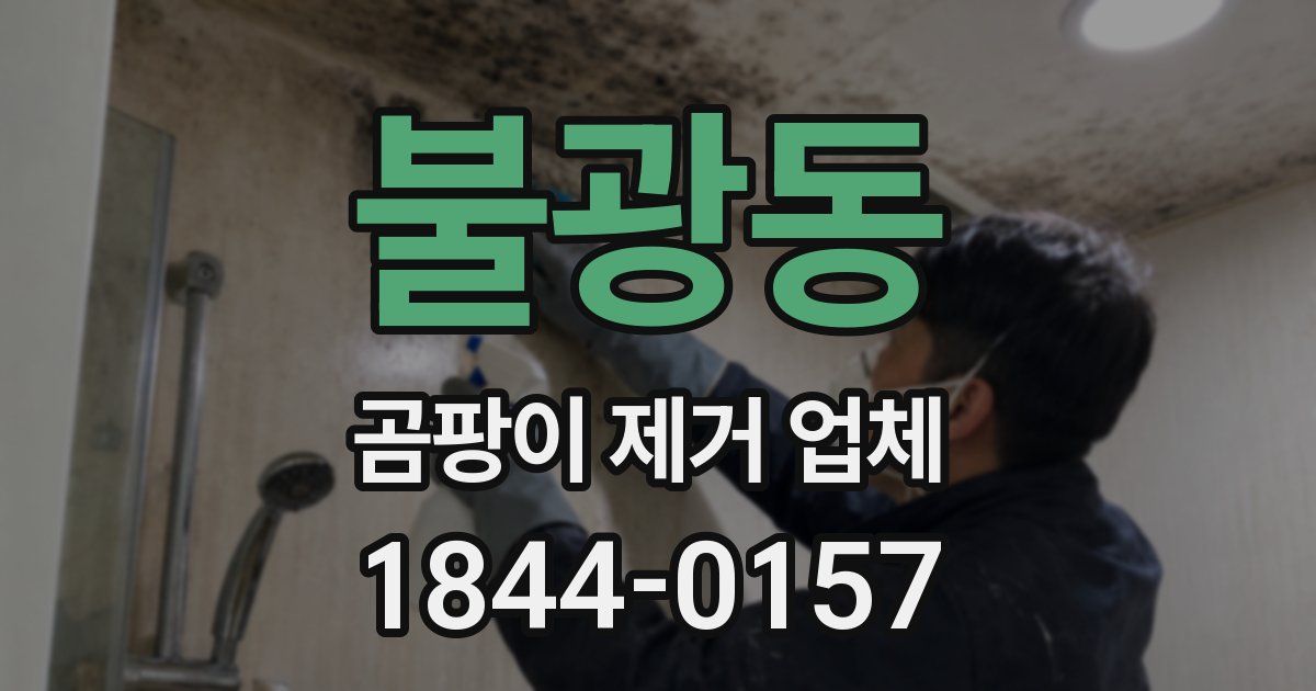 불광동 곰팡이 제거 업체