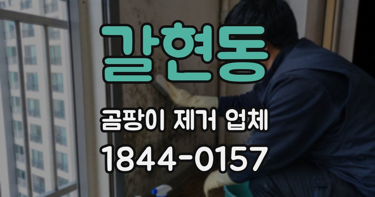 갈현동 곰팡이 제거 업체