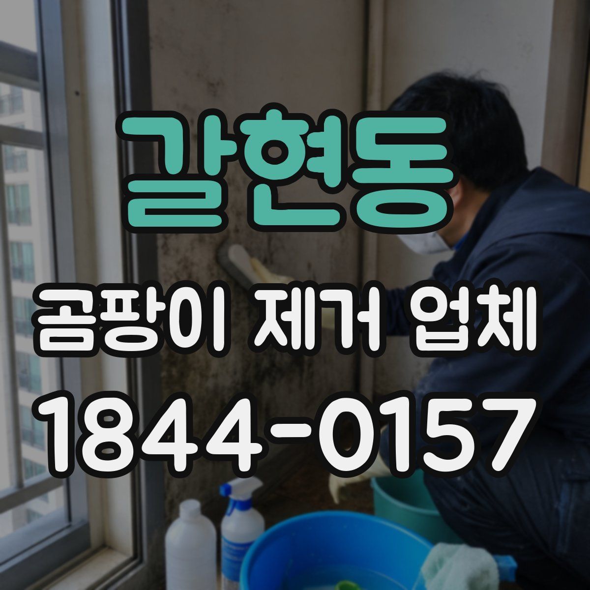 갈현동 곰팡이 제거 업체