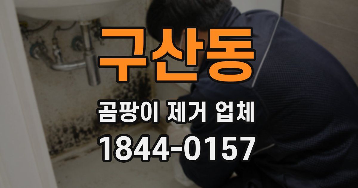 구산동 곰팡이 제거 업체