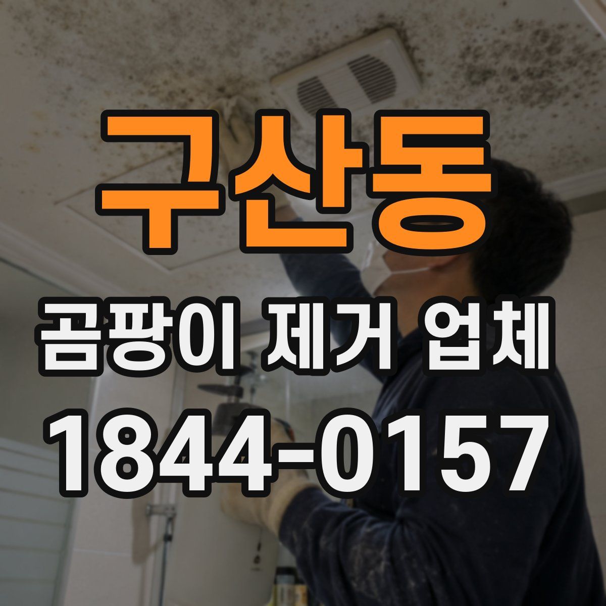 구산동 곰팡이 제거 업체