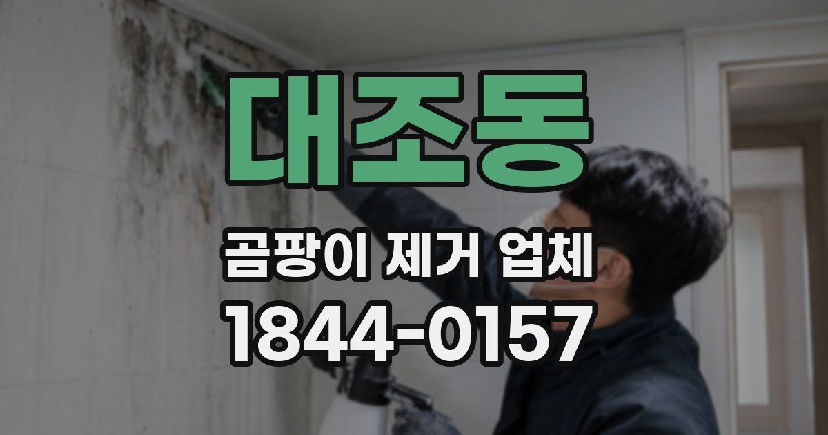 대조동 곰팡이 제거 업체