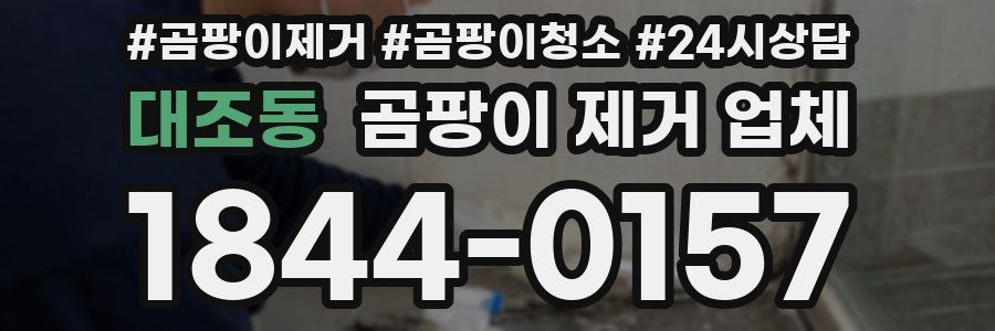 대조동 곰팡이 제거 업체