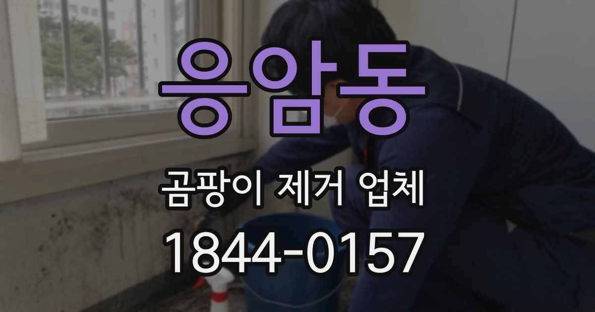 응암동 곰팡이 제거 업체