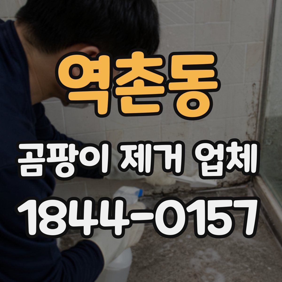 역촌동 곰팡이 제거 업체