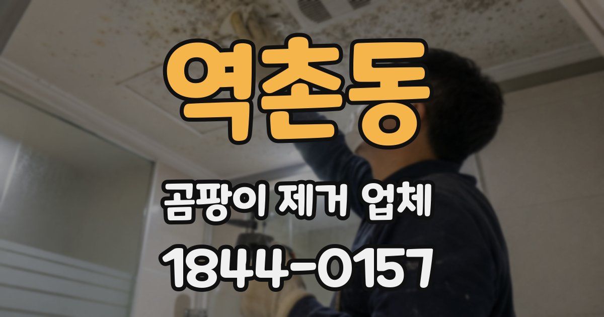 역촌동 곰팡이 제거 업체
