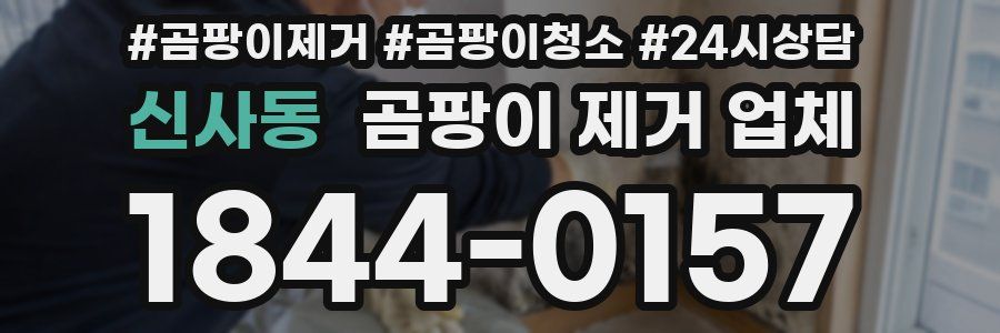 신사동 곰팡이 제거 업체