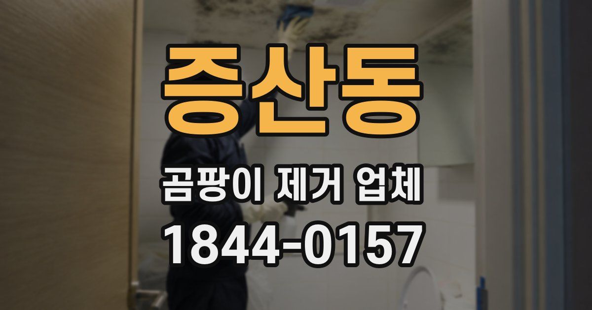 증산동 곰팡이 제거 업체
