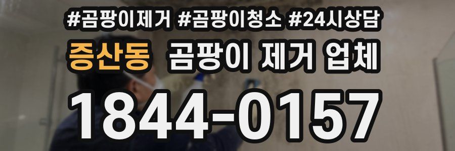 증산동 곰팡이 제거 업체