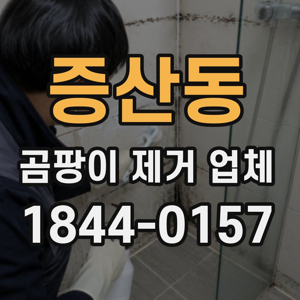 증산동 곰팡이 제거 업체