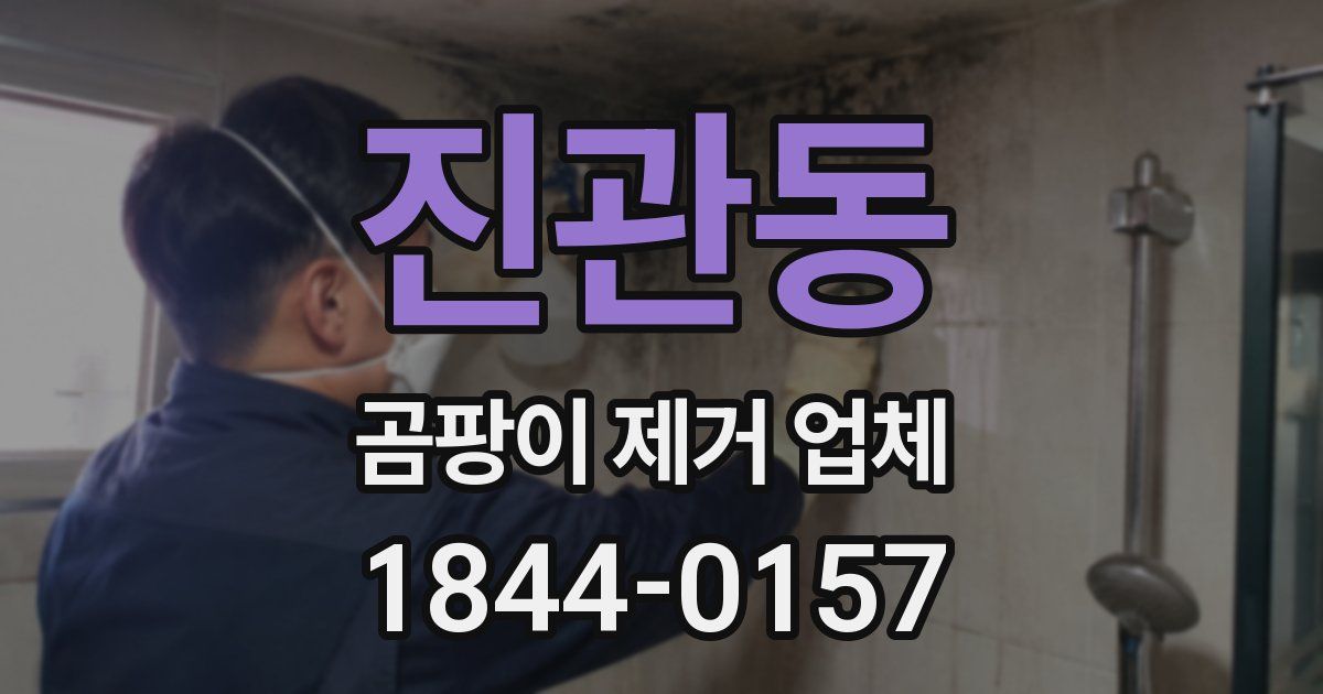 진관동 곰팡이 제거 업체