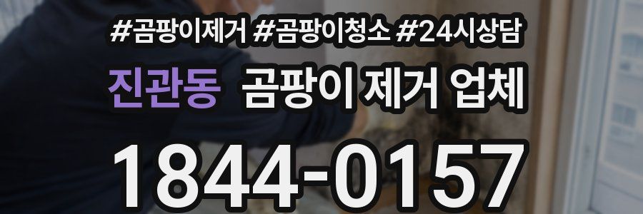 진관동 곰팡이 제거 업체