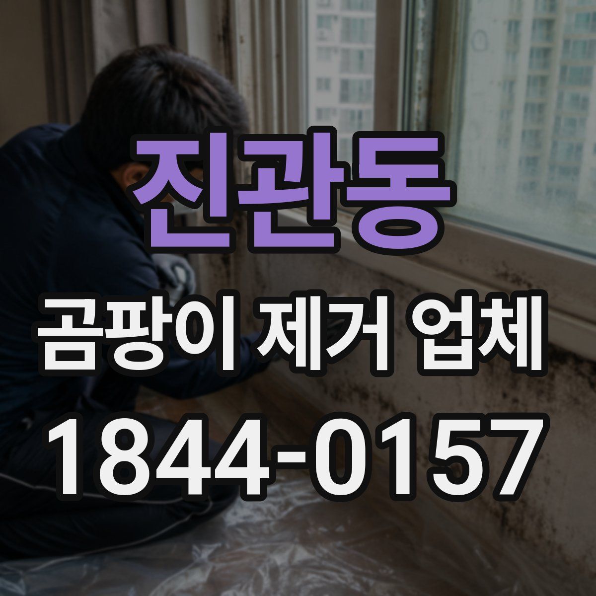 진관동 곰팡이 제거 업체