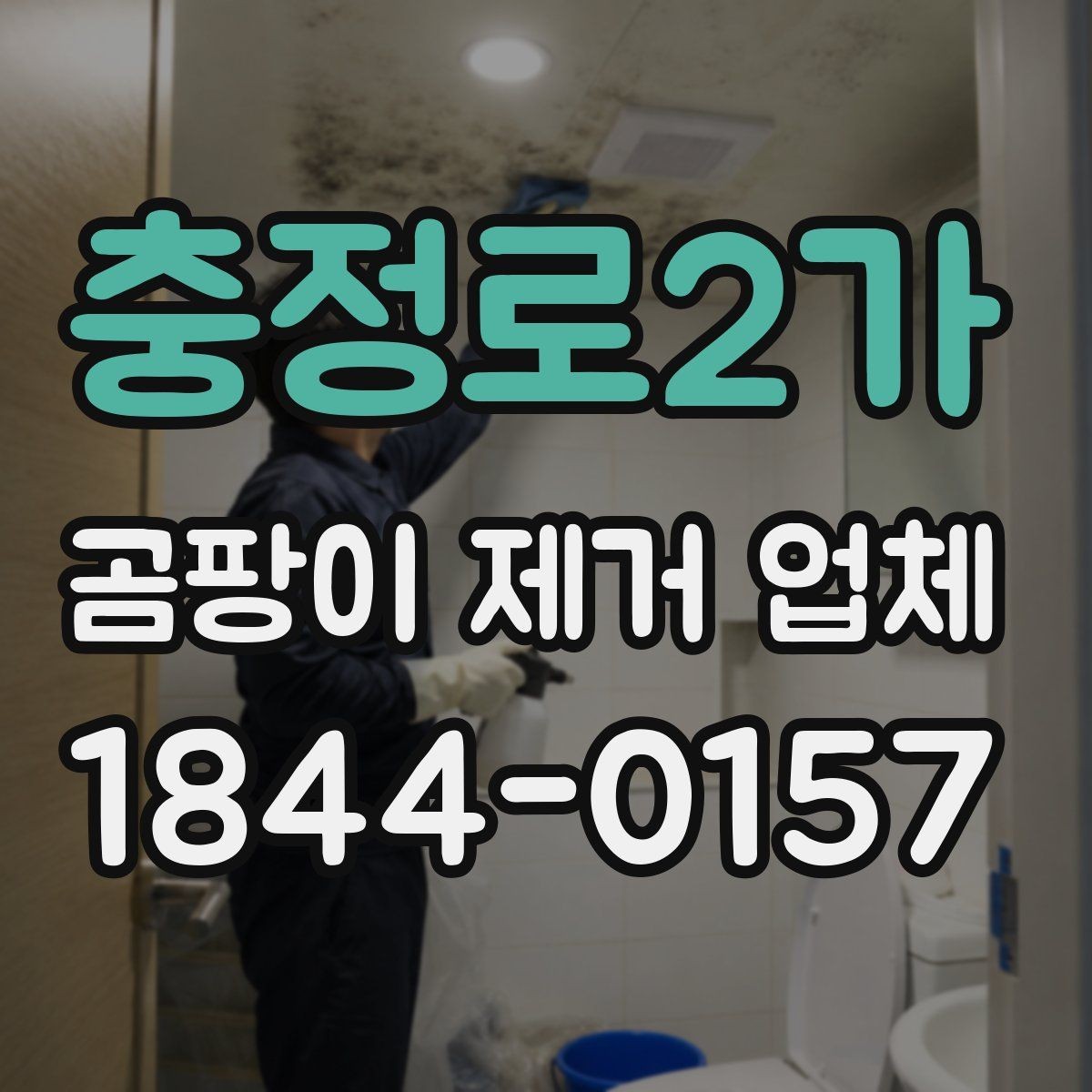 충정로2가 곰팡이 제거 업체 오염 범위에 따라 달라지는 장비와 공정