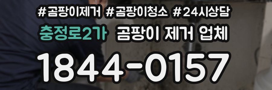 충정로2가 곰팡이 제거 업체