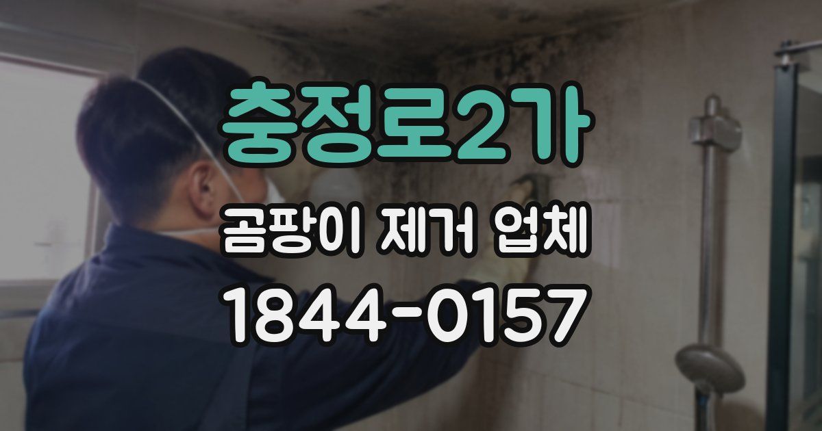 충정로2가 곰팡이 제거 업체