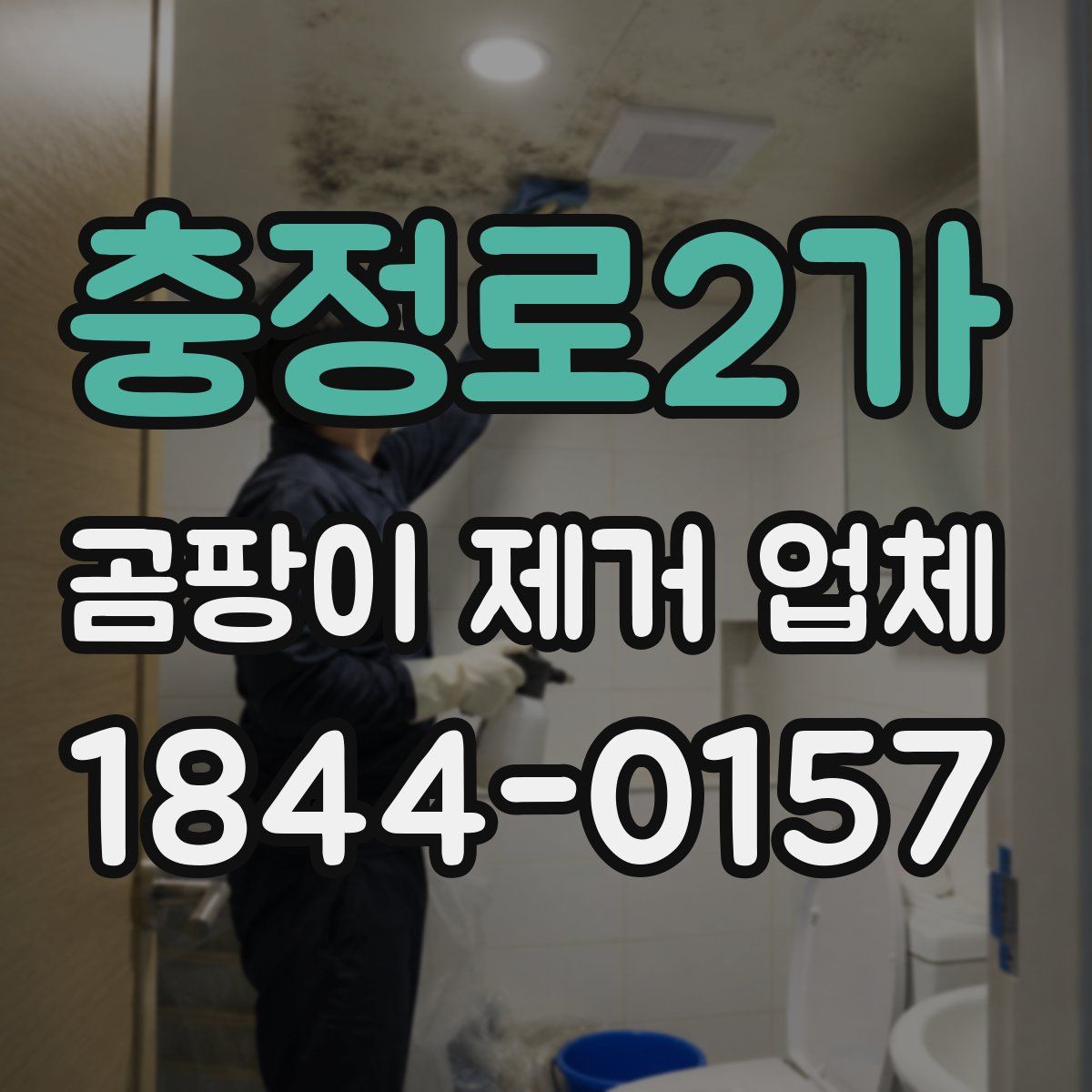 충정로2가 곰팡이 제거 업체