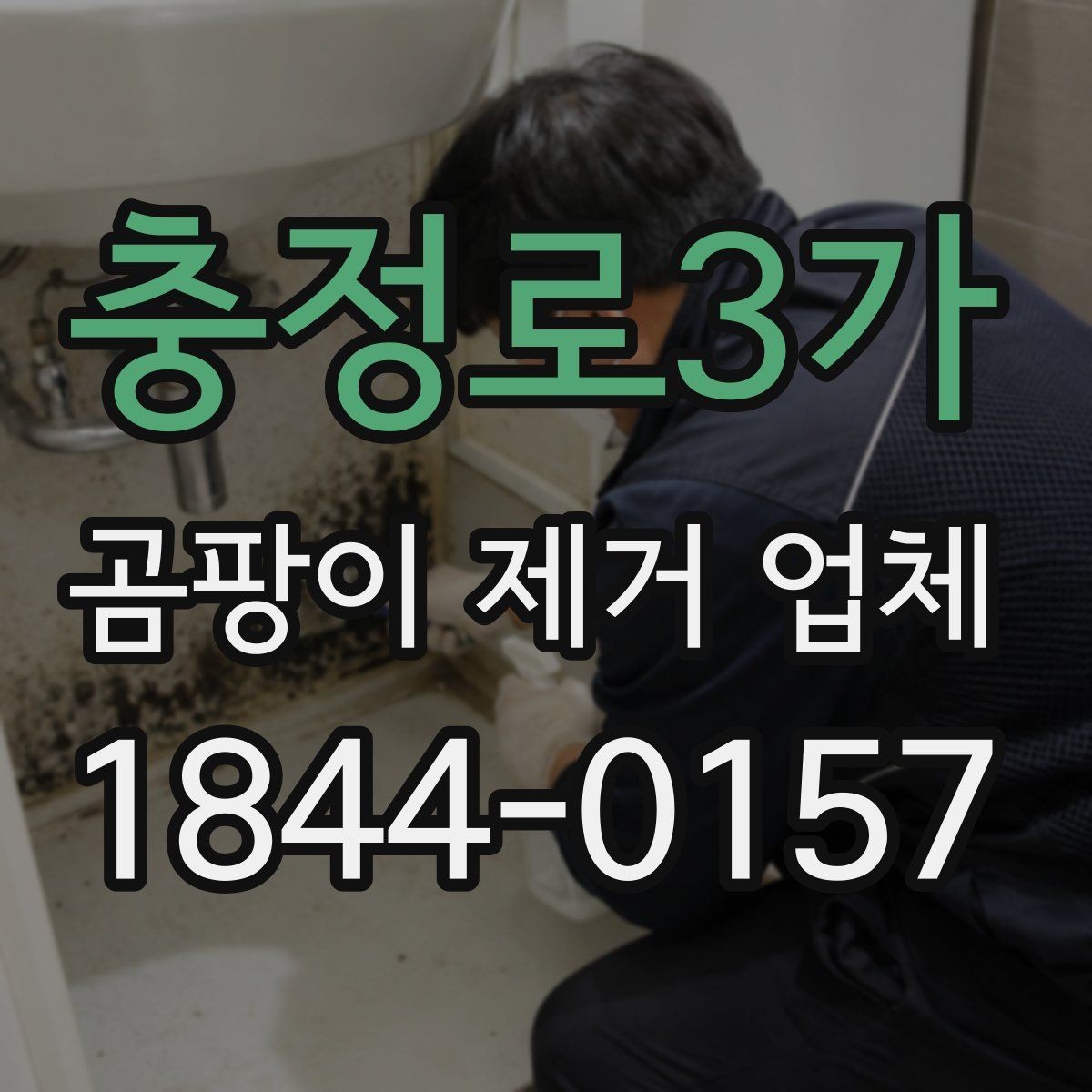 충정로3가 곰팡이 제거 업체 세대 간 번짐 가능성을 확인하는 체크포인트