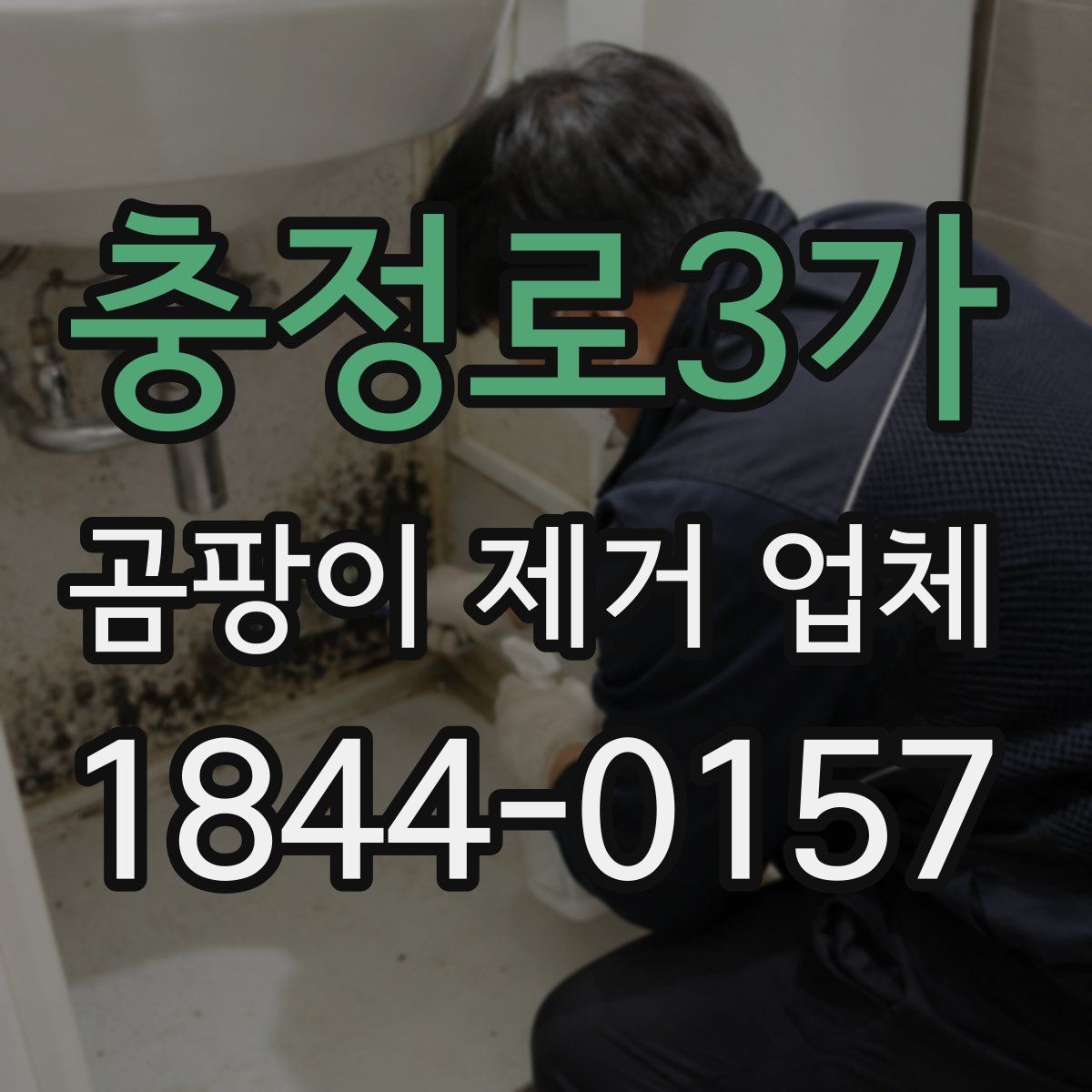 충정로3가 곰팡이 제거 업체