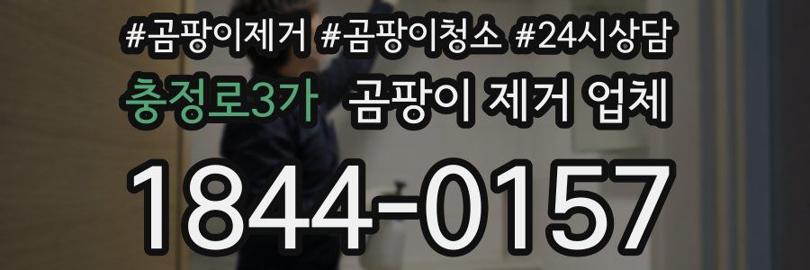 충정로3가 곰팡이 제거 업체