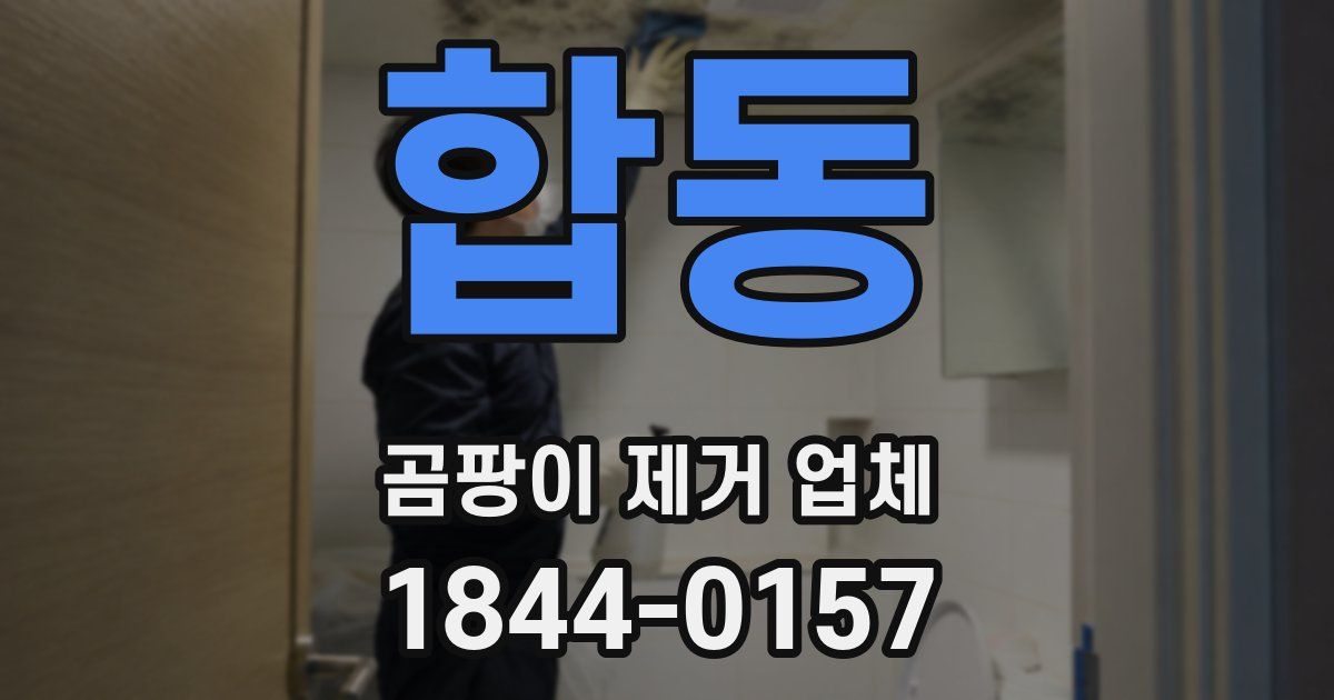 합동 곰팡이 제거 업체