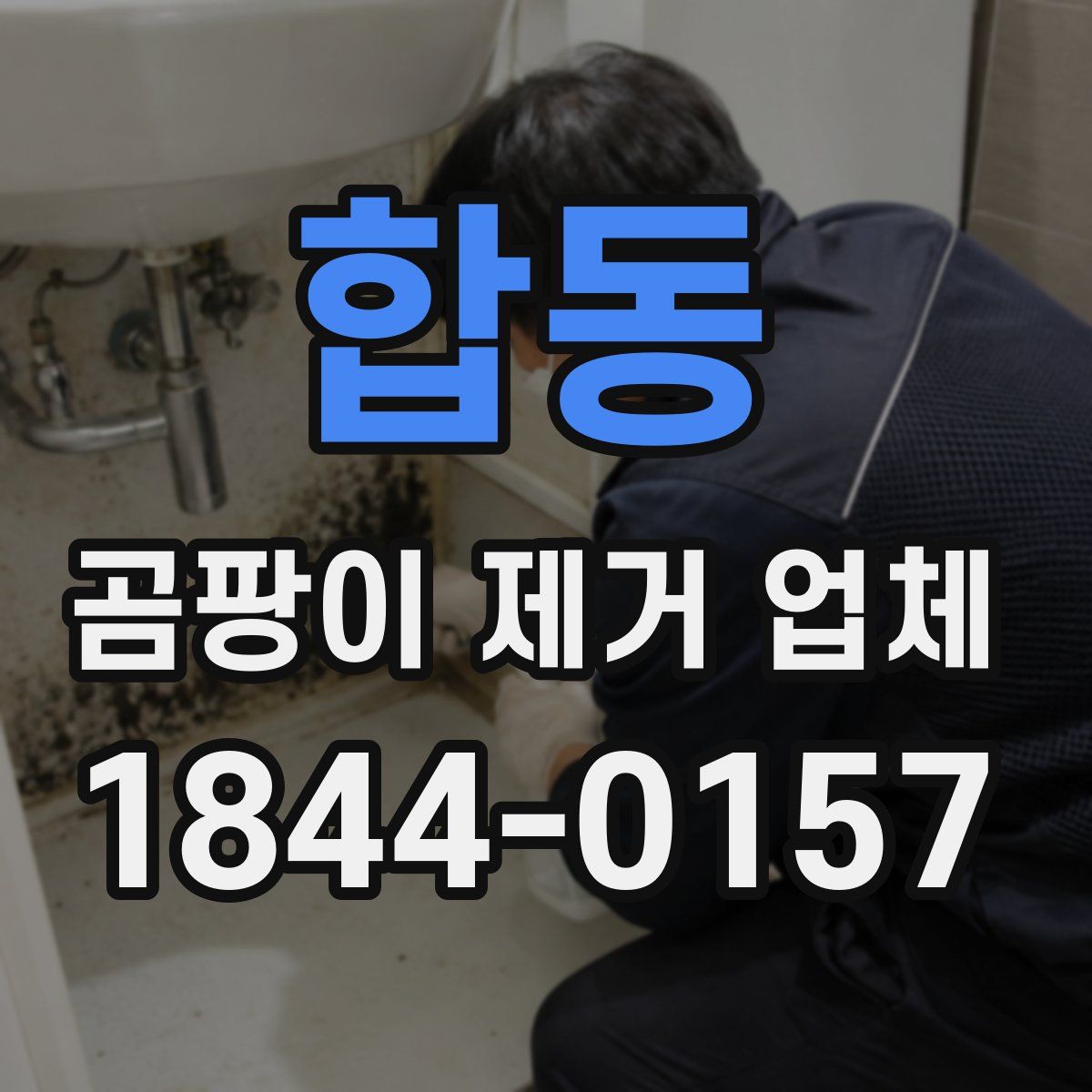 합동 곰팡이 제거 업체