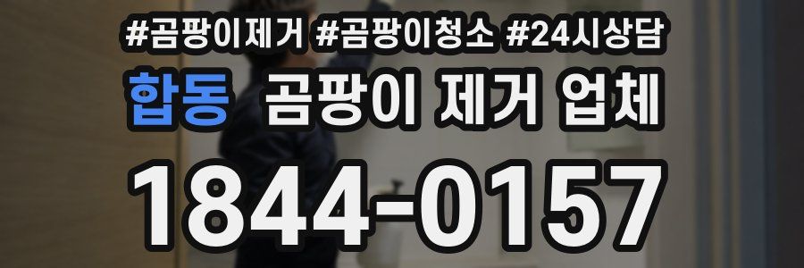 합동 곰팡이 제거 업체