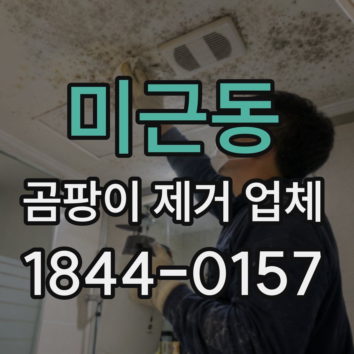 미근동 곰팡이 제거 업체 오염 상태에 따라 달라지는 장비와 공정