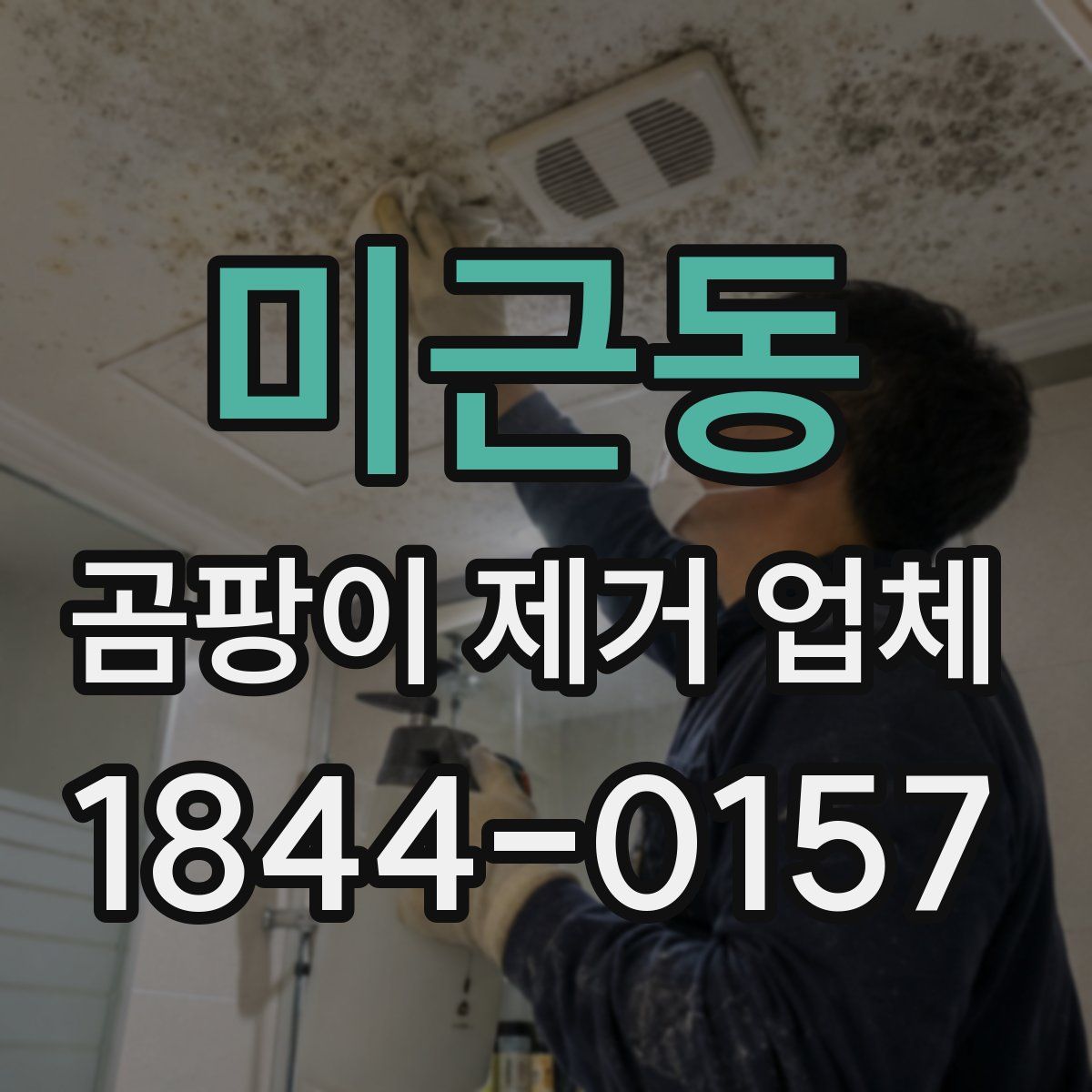 미근동 곰팡이 제거 업체