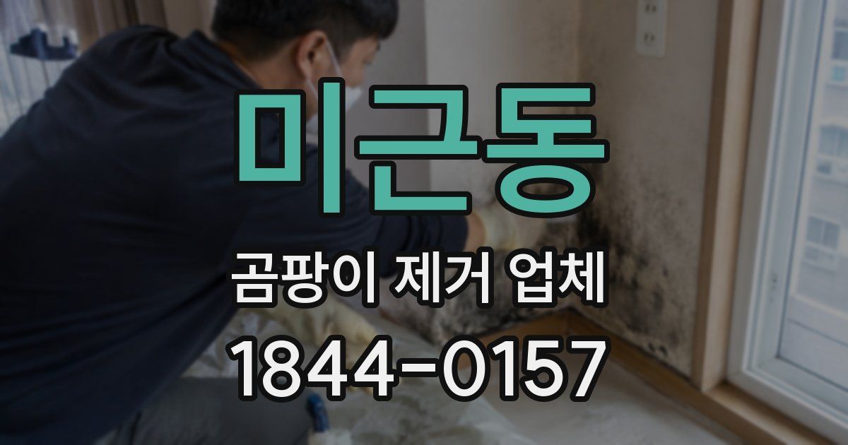 미근동 곰팡이 제거 업체