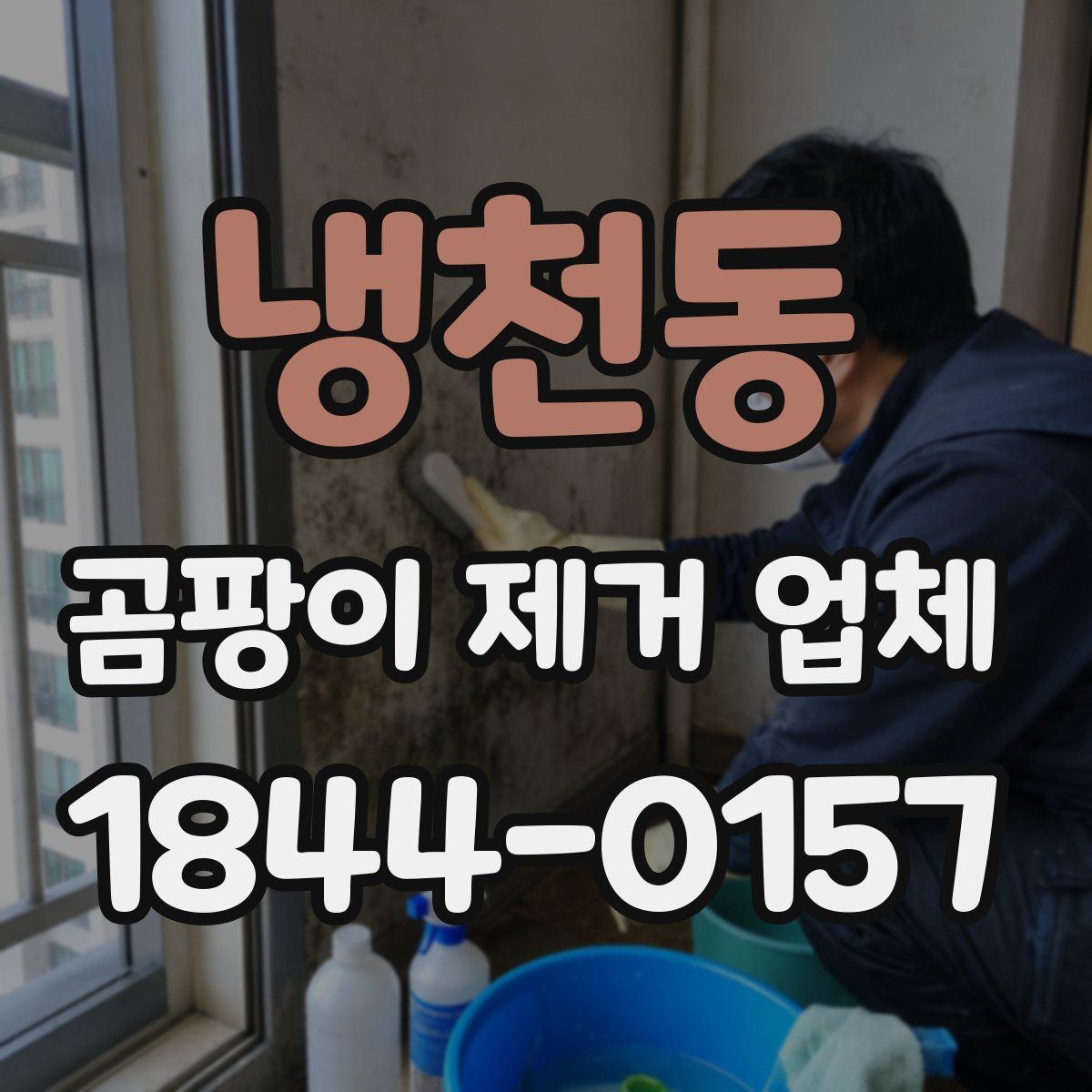 냉천동 곰팡이 제거 업체