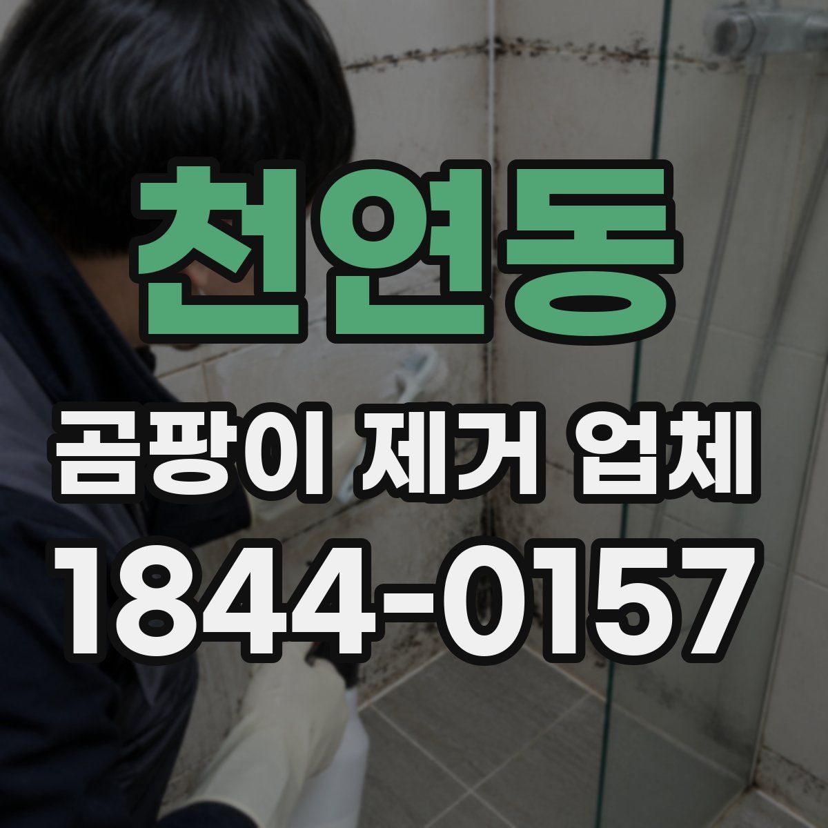 천연동 곰팡이 제거 업체