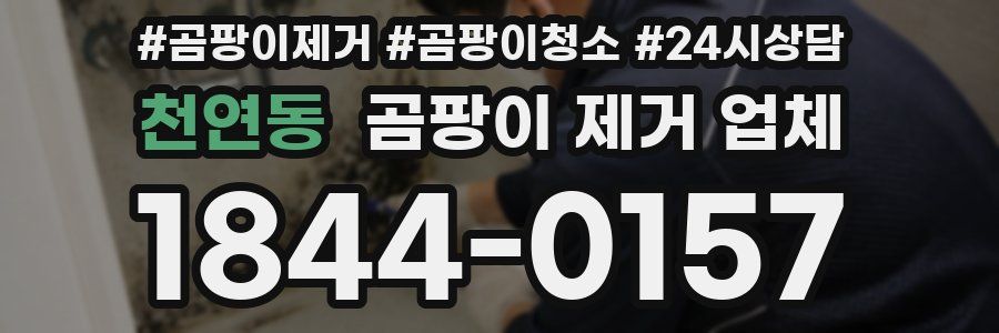 천연동 곰팡이 제거 업체
