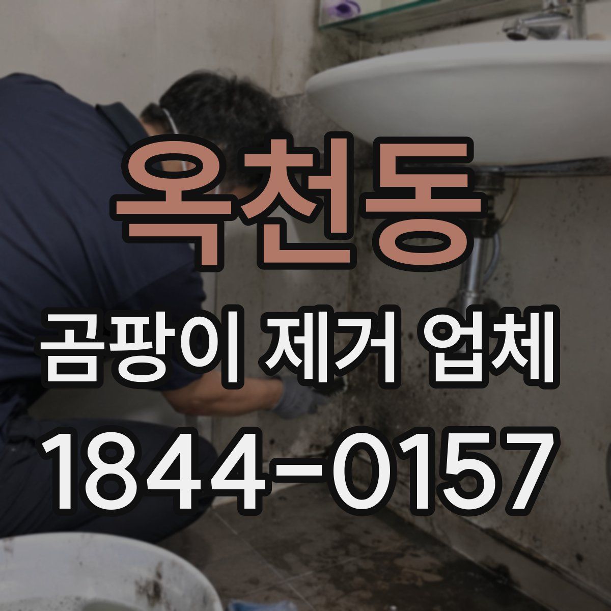 옥천동 곰팡이 제거 업체