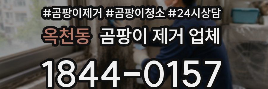 옥천동 곰팡이 제거 업체