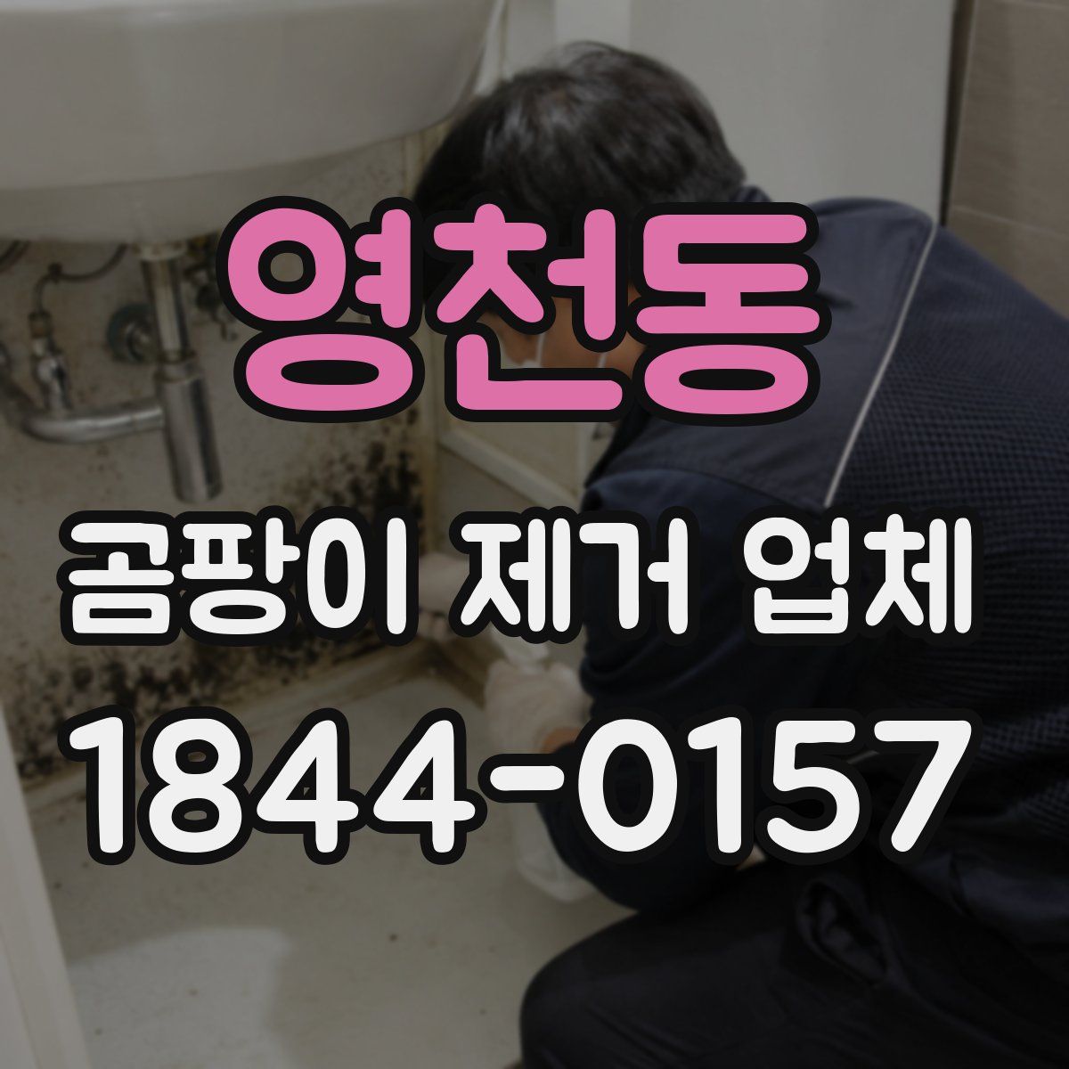 영천동 곰팡이 제거 업체