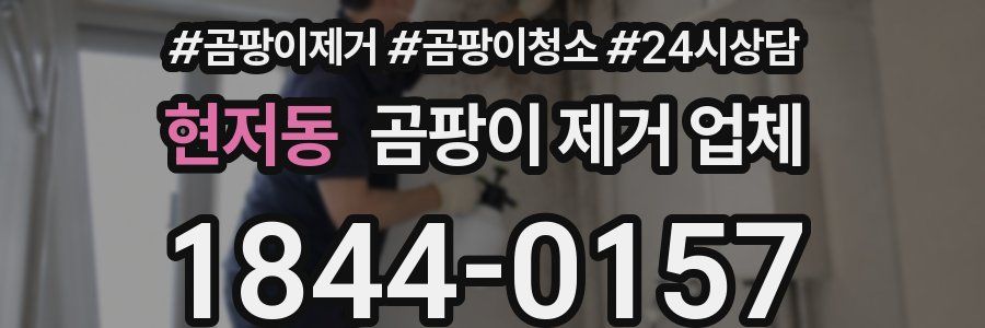 현저동 곰팡이 제거 업체