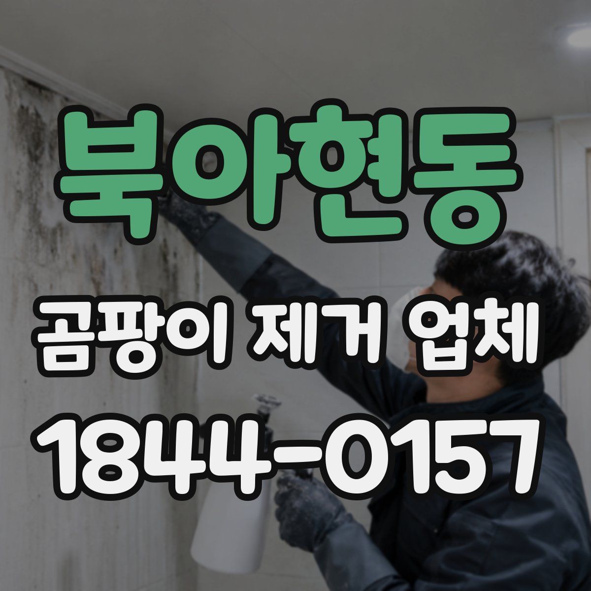 북아현동 곰팡이 제거 업체