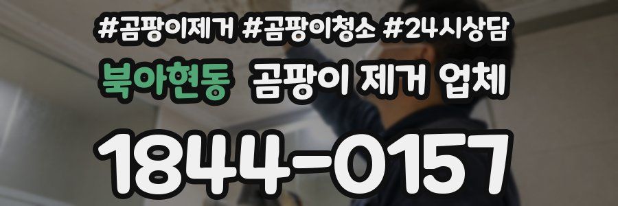 북아현동 곰팡이 제거 업체